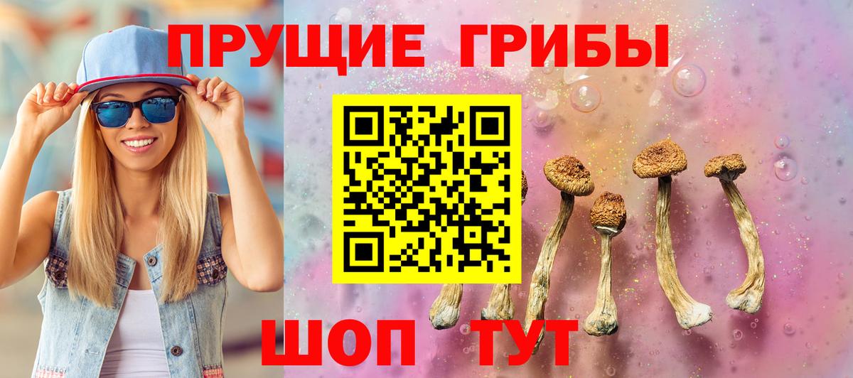 Псилоцибиновые грибы прущие грибы Миллерово
